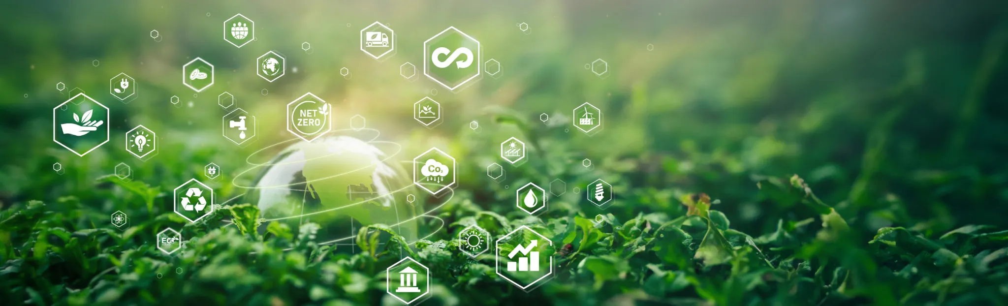 草原とサステナビリティのアイコン群