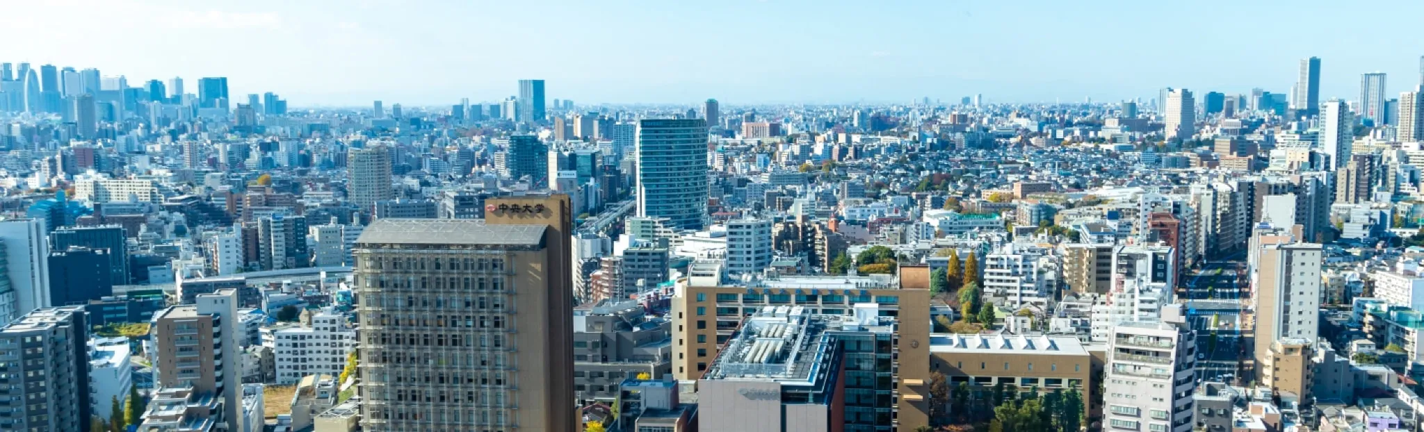 都市のパノラマ景観