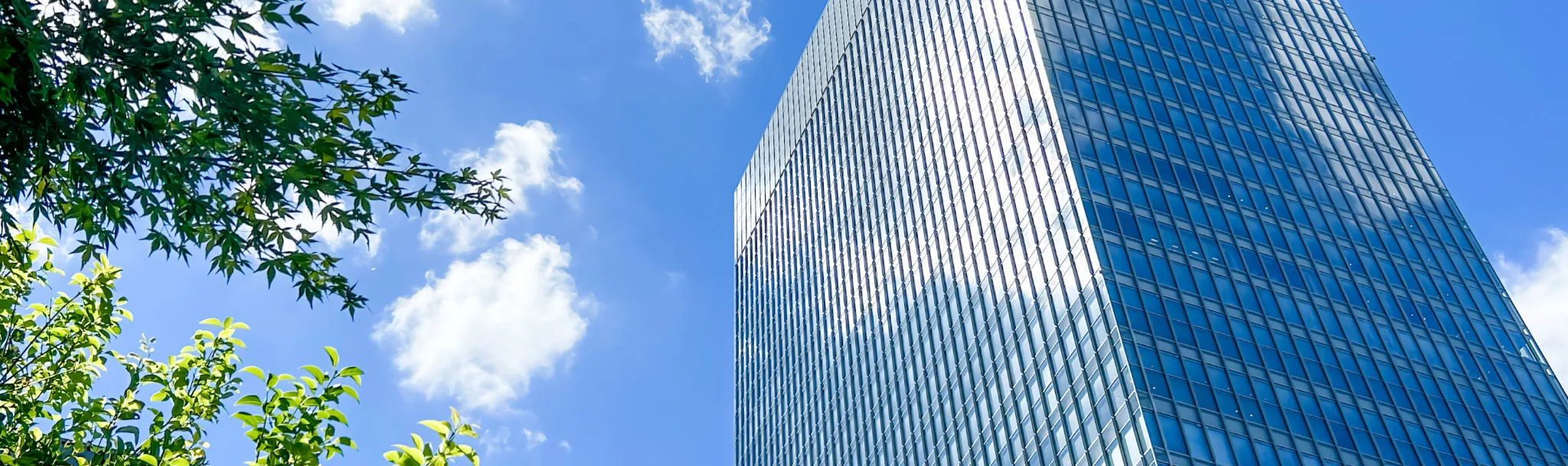 グリーン調達ガイドラインを象徴するイメージ（青空とオフィスビル）
