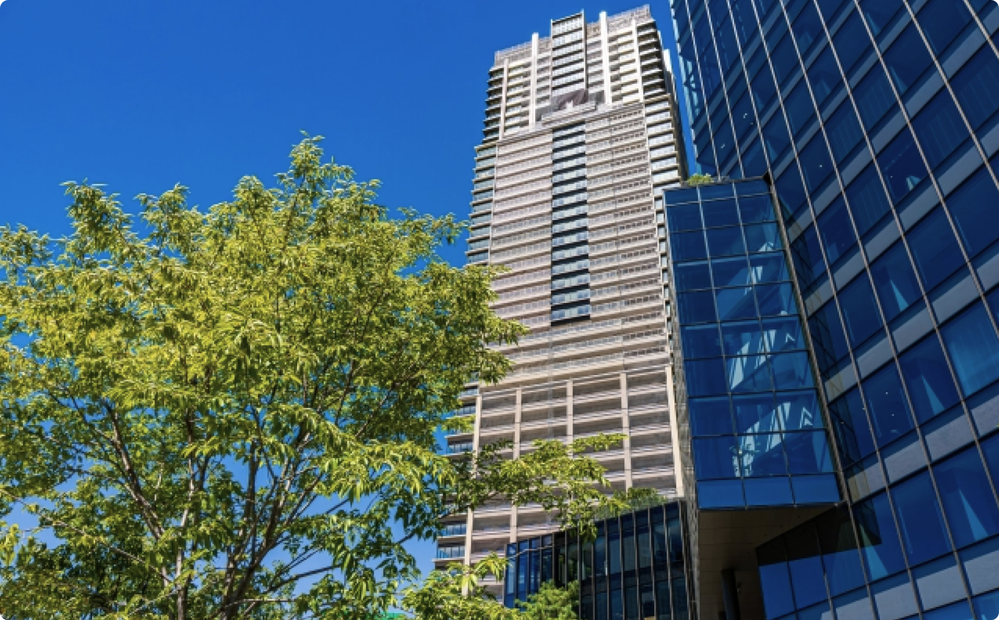 タイトルが入ります。タイトルが入ります。